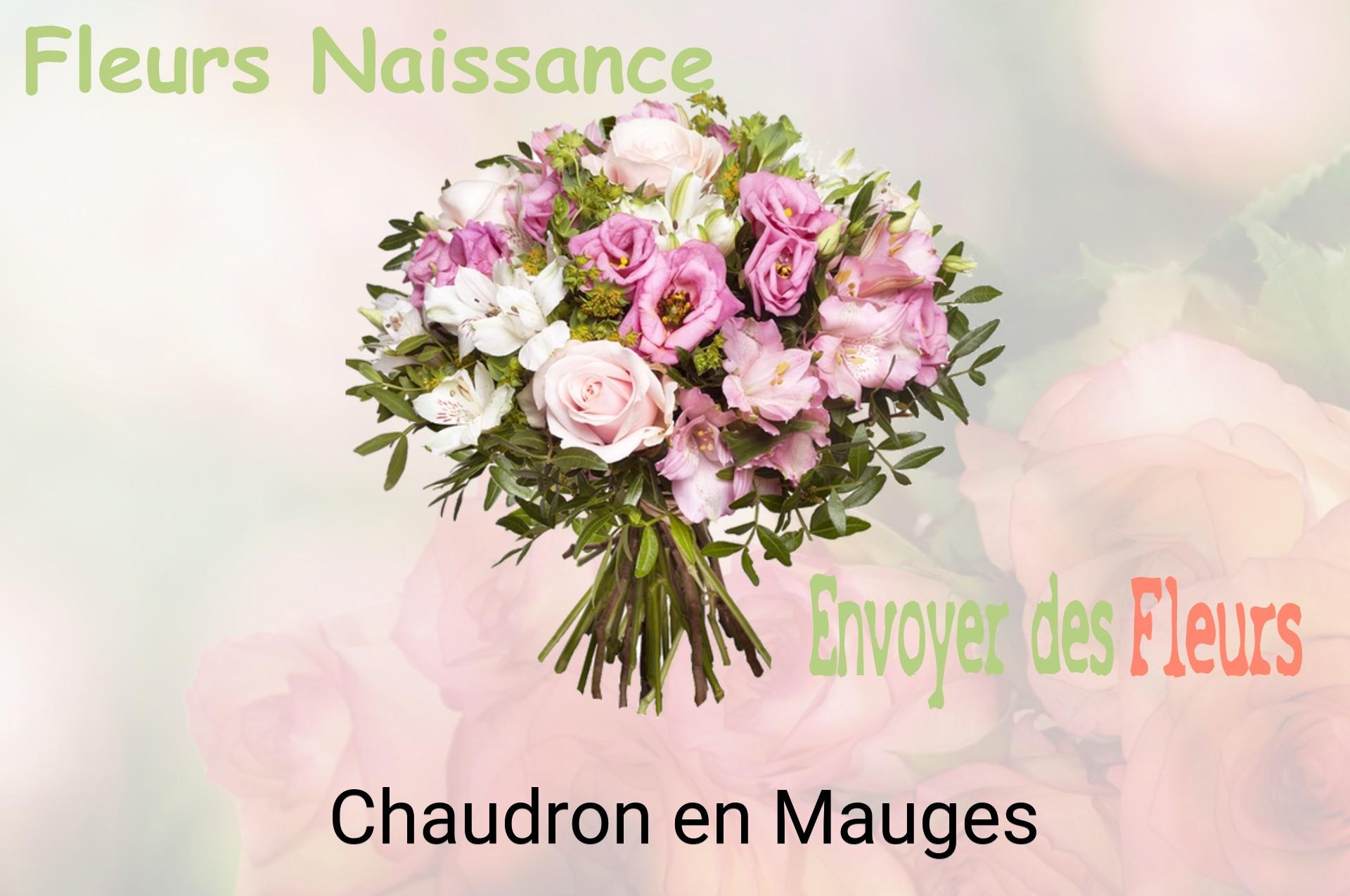 Bouquet de fleurs de naissance livré à Chaudron-en-Mauges