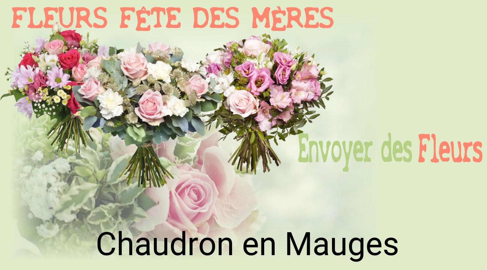 Bouquet de Fête des Mères livré à Chaudron-en-Mauges